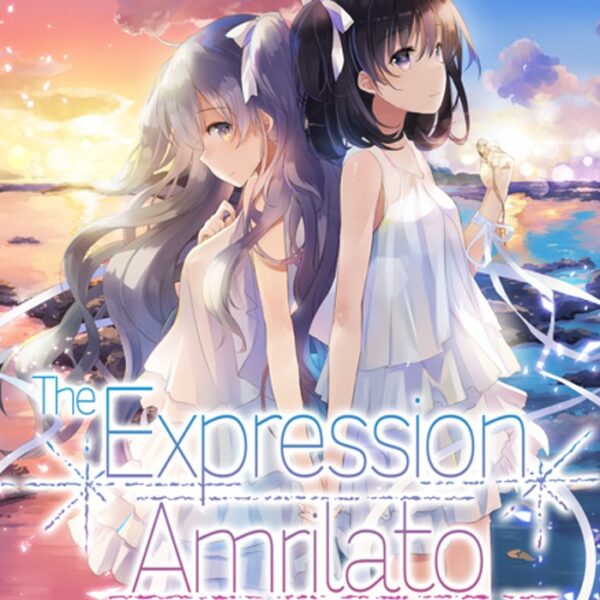 The Expression Amrilato PC Steam CD Key