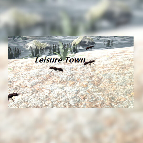 Leisure Town Steam CD Key